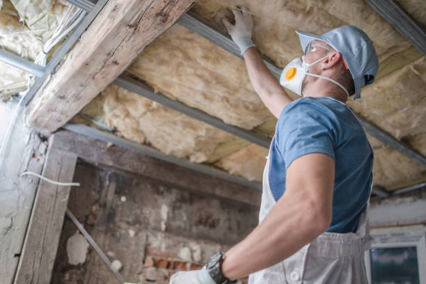 Best Residential Insulation in Sparta, MO