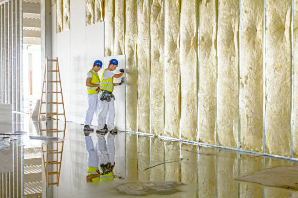 Best Commercial Insulation in Sparta, MO